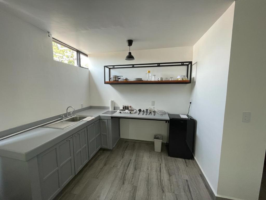 Nice & Cozy Suite In Cdmx, Near Roma,Zocalo 7 Mexico By Eksteriør billede